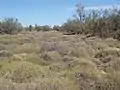 Spinifex Country, Yelarbon