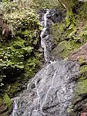 Triple Falls is around 35 feet tall.