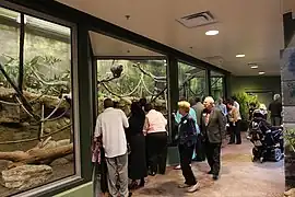 Inside the Tropics exhibit.