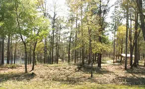 Trout Pond Recreation Area, a part of the Apalachicola National Forest, about 6 miles (9.7 km) south of Tallahassee