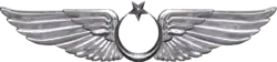 Turkish Air Force aviator badge