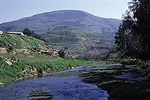 Zarqa River passing through the governorate