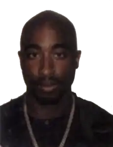 2Pac became one of the most successful hip hop artists of the 1990s.