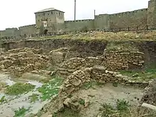 The remains of the buildings of Tyras, under the walls