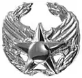 Commander's insignia*