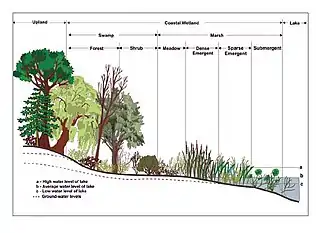 Upland vs. wetland vs. lacustrine zones