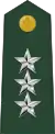 Lieutenant general