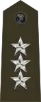 Lieutenant general(United States Marine Corps)