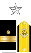 The collar star, shoulder boards, and sleeve stripes of a National Oceanic and Atmospheric Administration rear admiral (lower half)