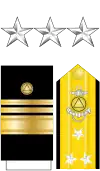 The collar stars, shoulder boards, and sleeve stripes of a National Oceanic and Atmospheric Administration Commissioned Officer Corps vice admiral