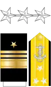 US Navy O9 insignia