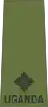 Second lieutenant(Ugandan Land Forces)