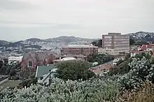 Buildings seen from a nearby hill