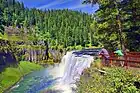 A waterfall plunges in lush coniferous forest