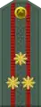 Polkovnik(Uzbek Ground Forces)