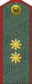 General-leytenant(Uzbek Ground Forces)