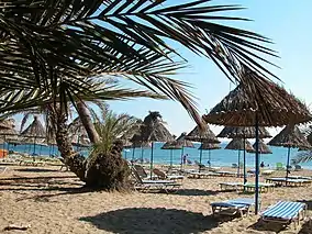 The central beach from the palm line showing the sun shelters.