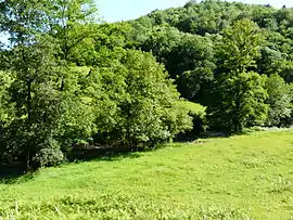 The Rouanne valley, in Dampniat