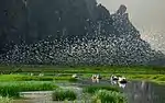 Van Long Wetland Nature Reserve