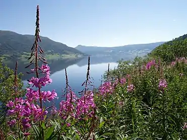 Lake Vangsmjøsa