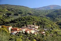 View of Pelago, the main town in the Comune