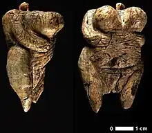 Two views of the Venus of Hohle Fels figurine, 40,000 BC–35,000 BC (6 cm (2.4 in) tall), one of the earliest known, undisputed examples of a depiction of a human being