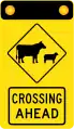 (W5-V131) Stock Crossing Ahead (used in Victoria)