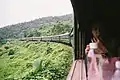 A passenger observes the scenery from her seat.