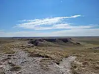 View of the park from the Daemonelix Trail