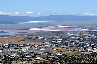 Salt ponds at the southern tip of the bay