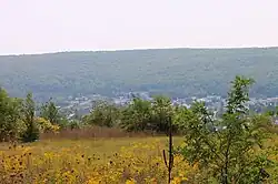 View of Mount Carmel from the northeast