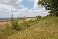 The North Downs above Hollingbourne.