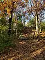 View up the hill toward Tippling Rock in Sudbury Massachusetts near Nobscot Hill Reservation