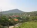 Viticulture near Villány