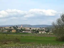 A general view of Villeneuve-de-Berg