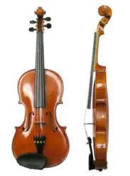 Violin