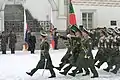 The Border Guard Service of Russia in greatcoat uniform.