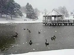 Vlasis Park in Ballwin, Missouri, March 2000