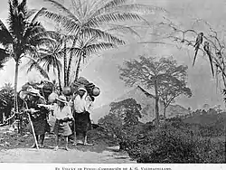 Photographic composition of Volcán de Fuego as seen from Alotenango in 1897.  Composition by Alberto G. Valdeavellano.