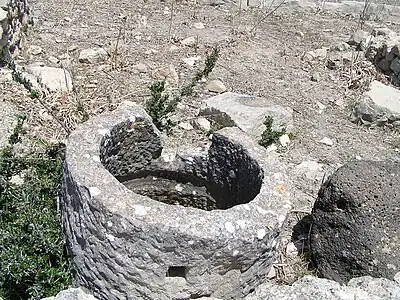 Grinder ring - Volubilis