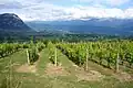 La Cluse de Chambéry and la Combe de Savoie seen from Apremont