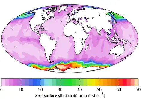 Concentration of silicic acid in the upper pelagic zone, showing high levels in the Southern Ocean