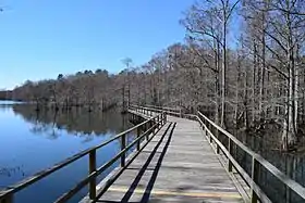 Lakeside boardwalk