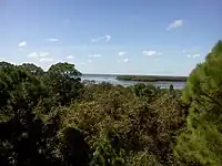 Wall Springs View of St Joseph Sound from the old observation tower