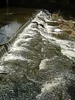 A broad-crest weir in Warkworth, New Zealand