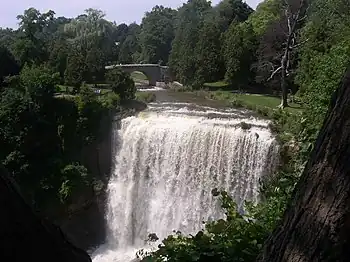 Webster's Falls in Summer