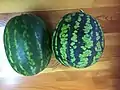 Watermelon grown in Buryatia, Siberia