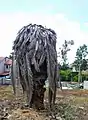 Killed date palm, Kfar Saba, Palestine.