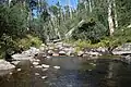 West branch of Kiewa River