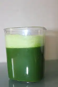 Wheatgrass juice